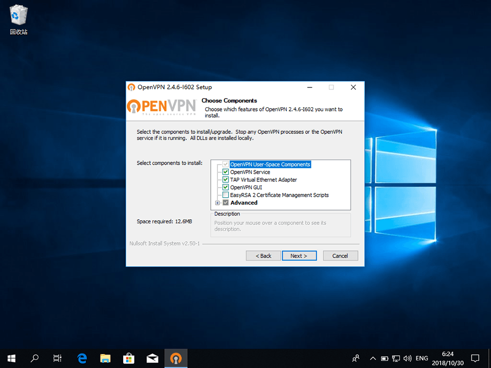 Setting up OpenVPN on Windows 10, step 5