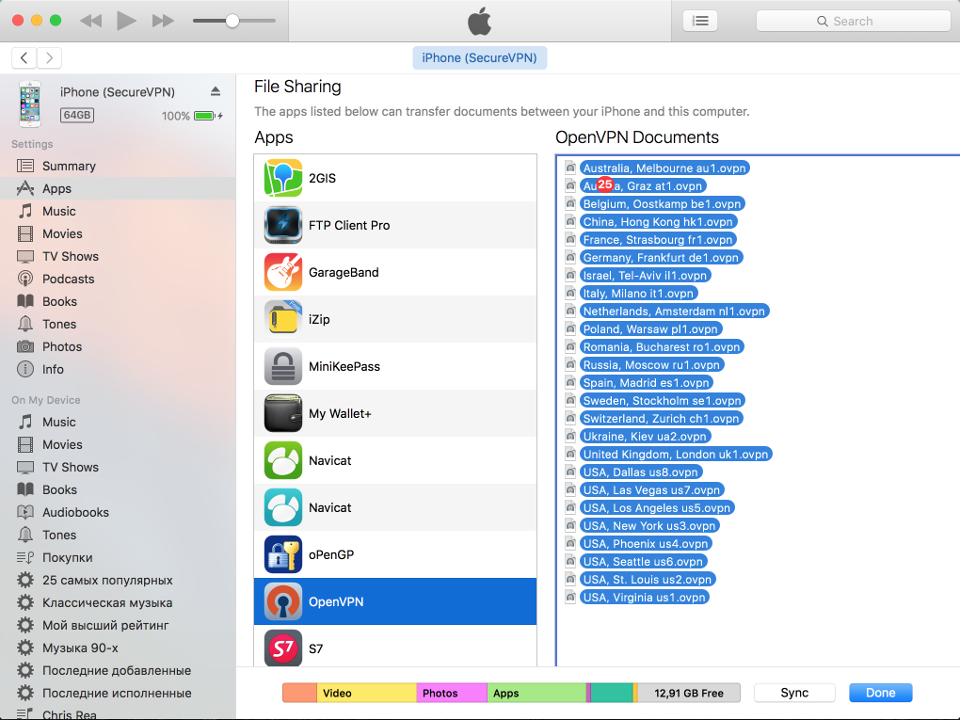 Setting up OpenVPN on iOS, step 4