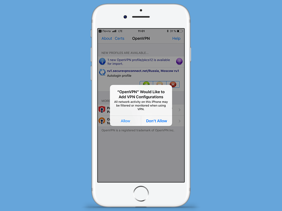Настройка OpenVPN на iOS, шаг 9