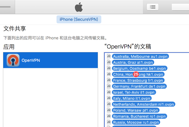 Setting up OpenVPN on iOS, step 4