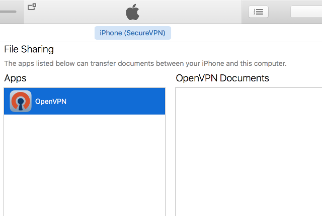 Setting up OpenVPN on iOS, step 2